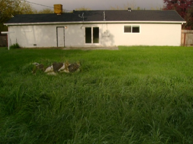 13546 Evelyn StRed Bluff, CA, 96080Tehama County