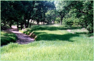 Lot 11 Skyline Drive
