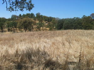 Lot 11 Skyline Drive