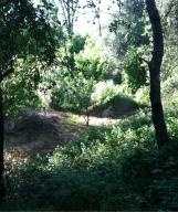 16180 Skyline Drive