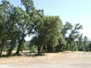 16180 Skyline Drive