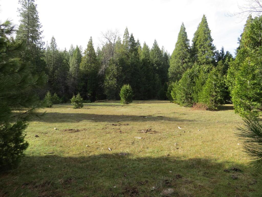 Hwy 44 APN #701-090-019, Shingletown, United States 96088