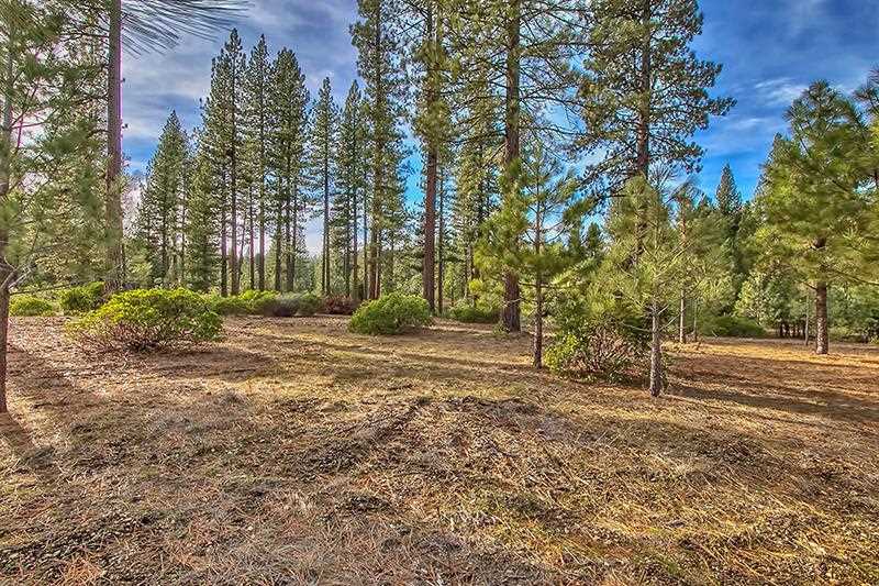7735 Whitethorn Trail