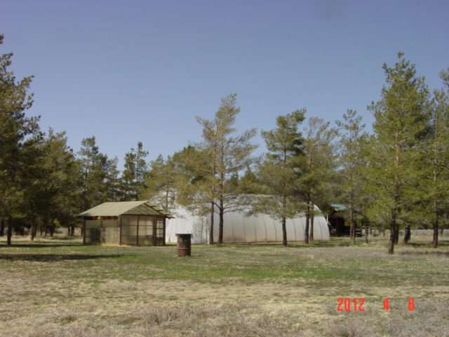2593Maddalena Road, Beckwourth, CA 96129