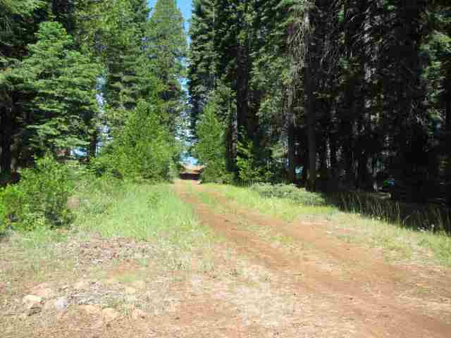 2875 Highway 147, Lake Almanor, United States 96137
