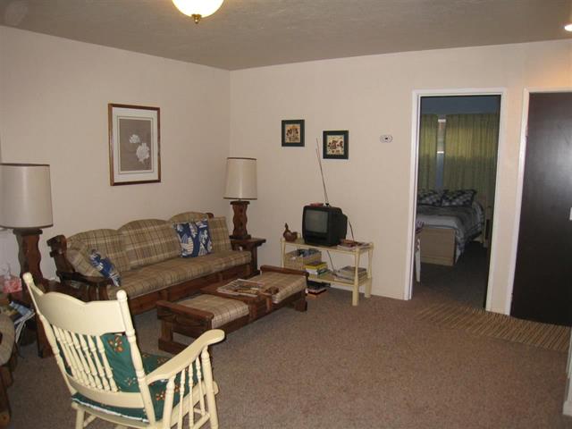 334 Peninsula Drive, Lake Almanor, United States 96137