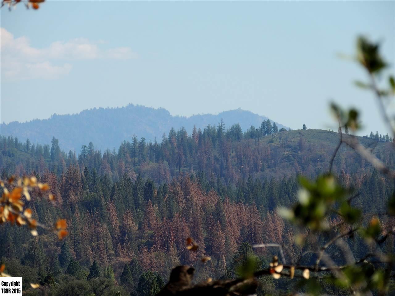 12811 Moon Light, Groveland, CA 96321