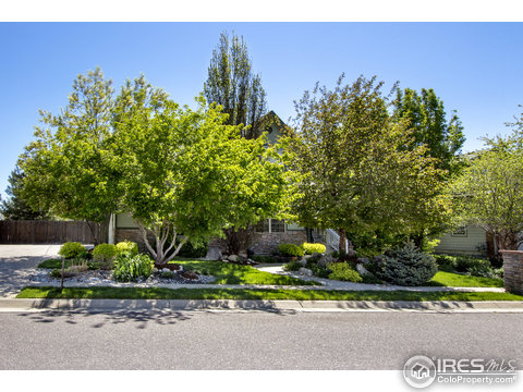 6950 Iris Ct, Arvada, CO 80004