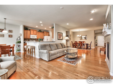 16262 Red Mountain Way, Broomfield, CO 80023