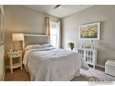 16262 Red Mountain Way, Broomfield, CO 80023