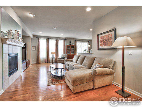 16262 Red Mountain Way, Broomfield, CO 80023