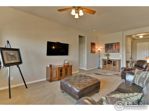 15954 Wild Horse Dr, Broomfield, CO 80023