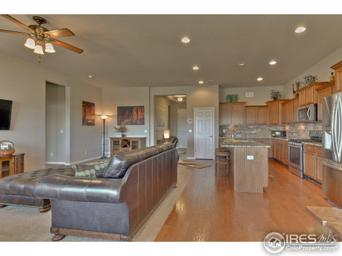 15954 Wild Horse Dr, Broomfield, CO 80023