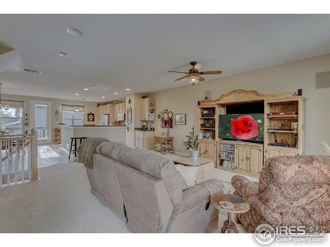 11785 Stuart Pl, Westminster, CO 80031