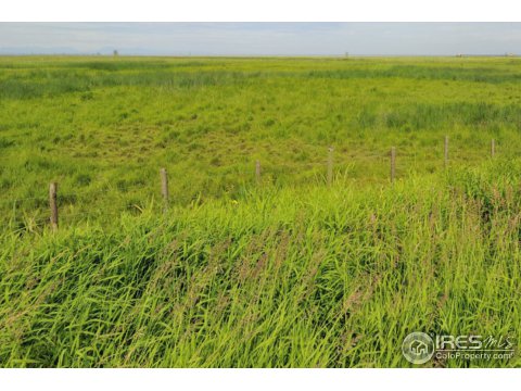 15333 Monnahan Rd, Byers, CO 80103