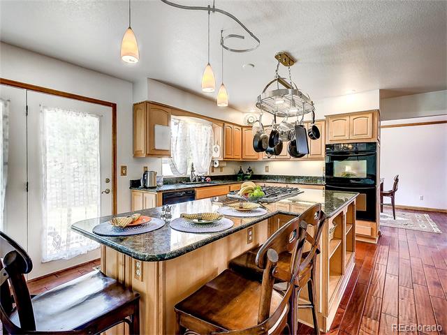 4808 Rocky Mountain Drive, Castle Rock, CO 80109