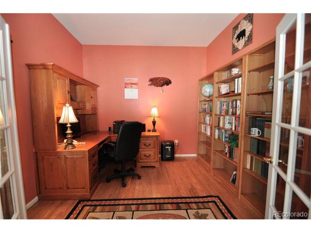 11441 Switzer Park Place, Parker, CO 80138
