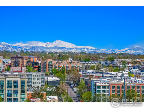 1700 Bassett St, Denver, CO 80202