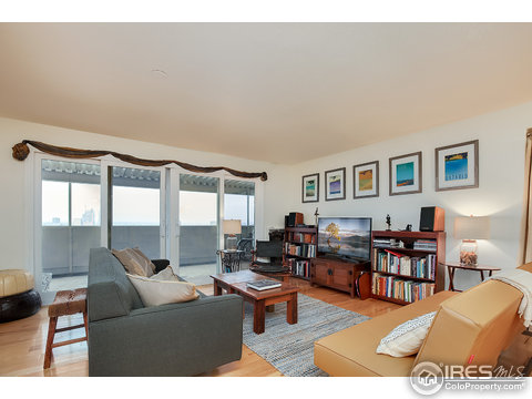 1029 E 8th Ave, Denver, CO 80218