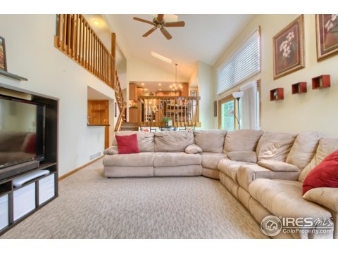 11225 Raritan St, Westminster, CO 80234