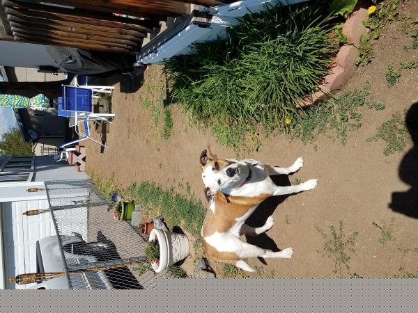 17190 Mt. Vernon Rd. #154 ,CO, Golden, 80401