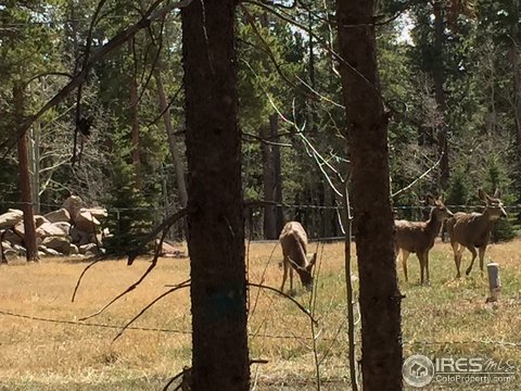11991 Spruce Canyon Cir, Golden, CO 80403