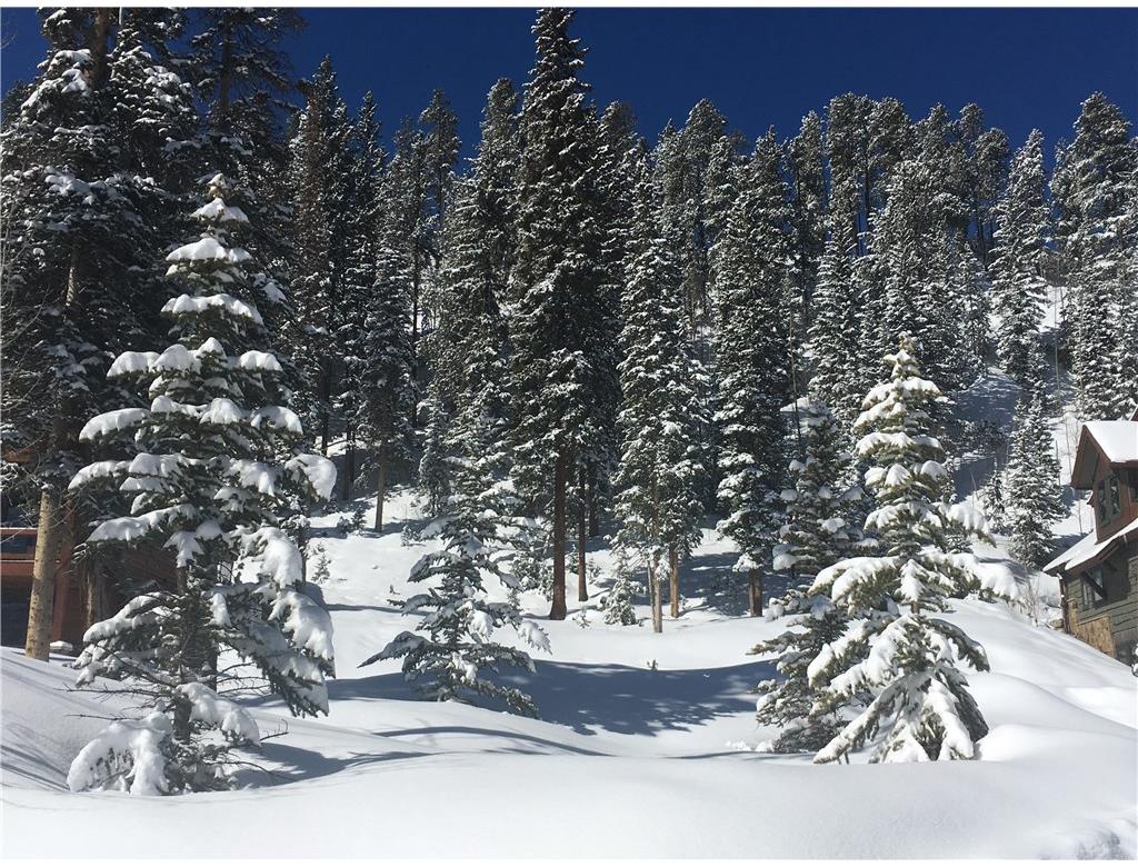 107 VictoryLane, Breckenridge, CO 80424