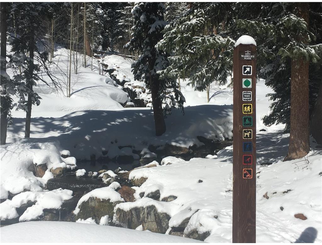 107 VictoryLane, Breckenridge, CO 80424