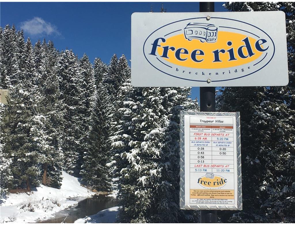 107 VictoryLane, Breckenridge, CO 80424