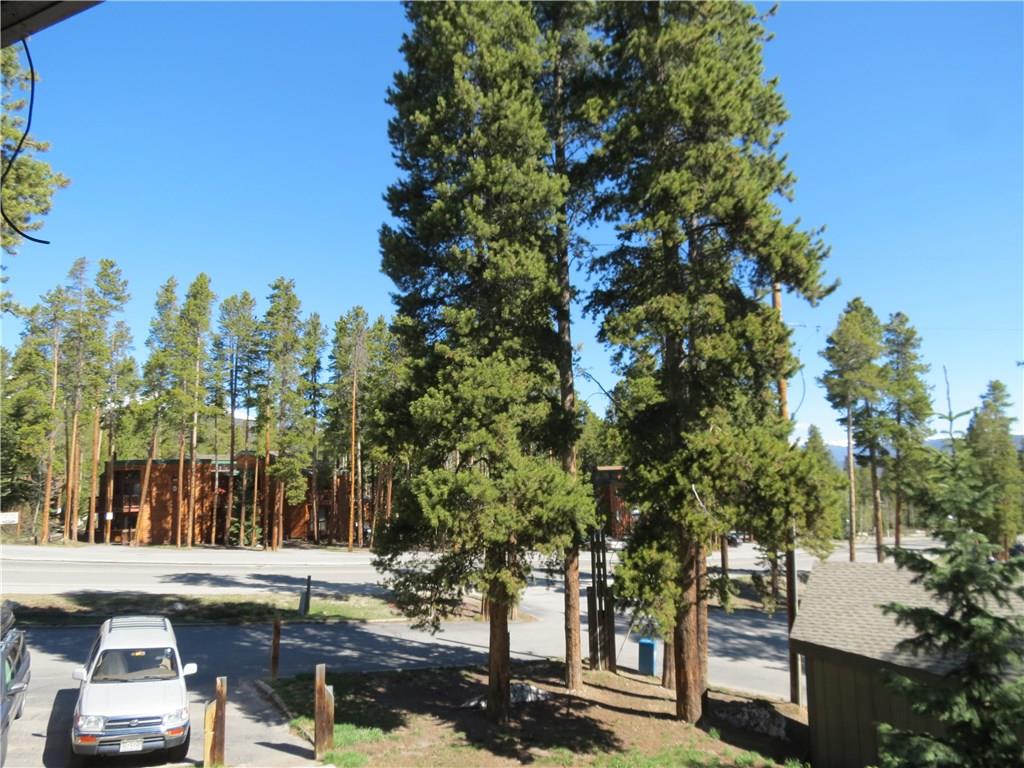 1155 SKI HILL ROAD, Breckenridge, CO 80424