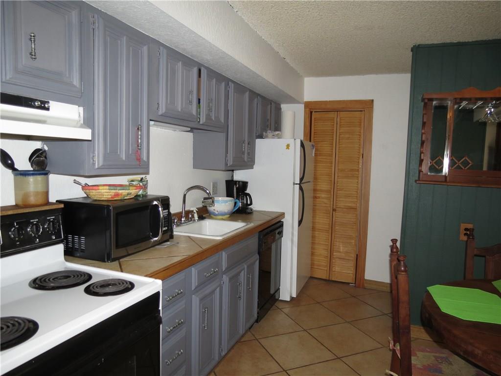 1155 SKI HILL ROAD, Breckenridge, CO 80424