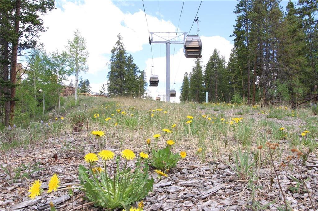 18 IRON MASK ROAD, Breckenridge, CO 80424