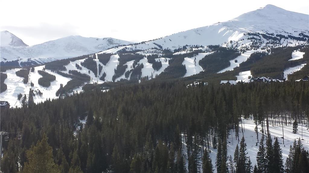 188 PEERLESS DRIVE, Breckenridge, CO 80424