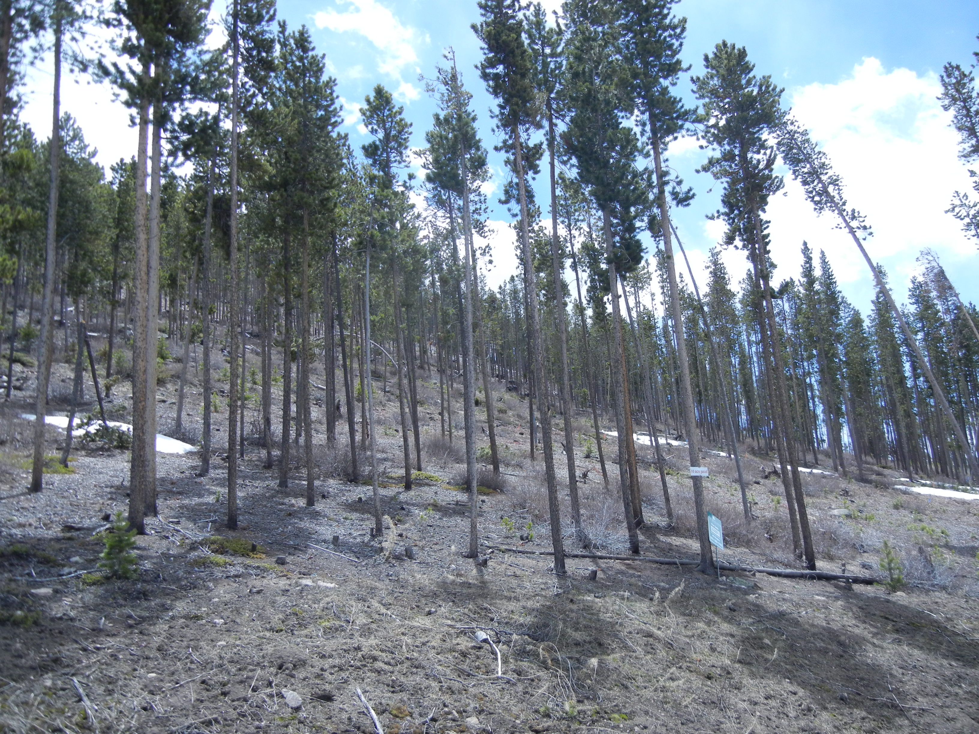 540 Highlands Drive, Breckenridge, CO 80424