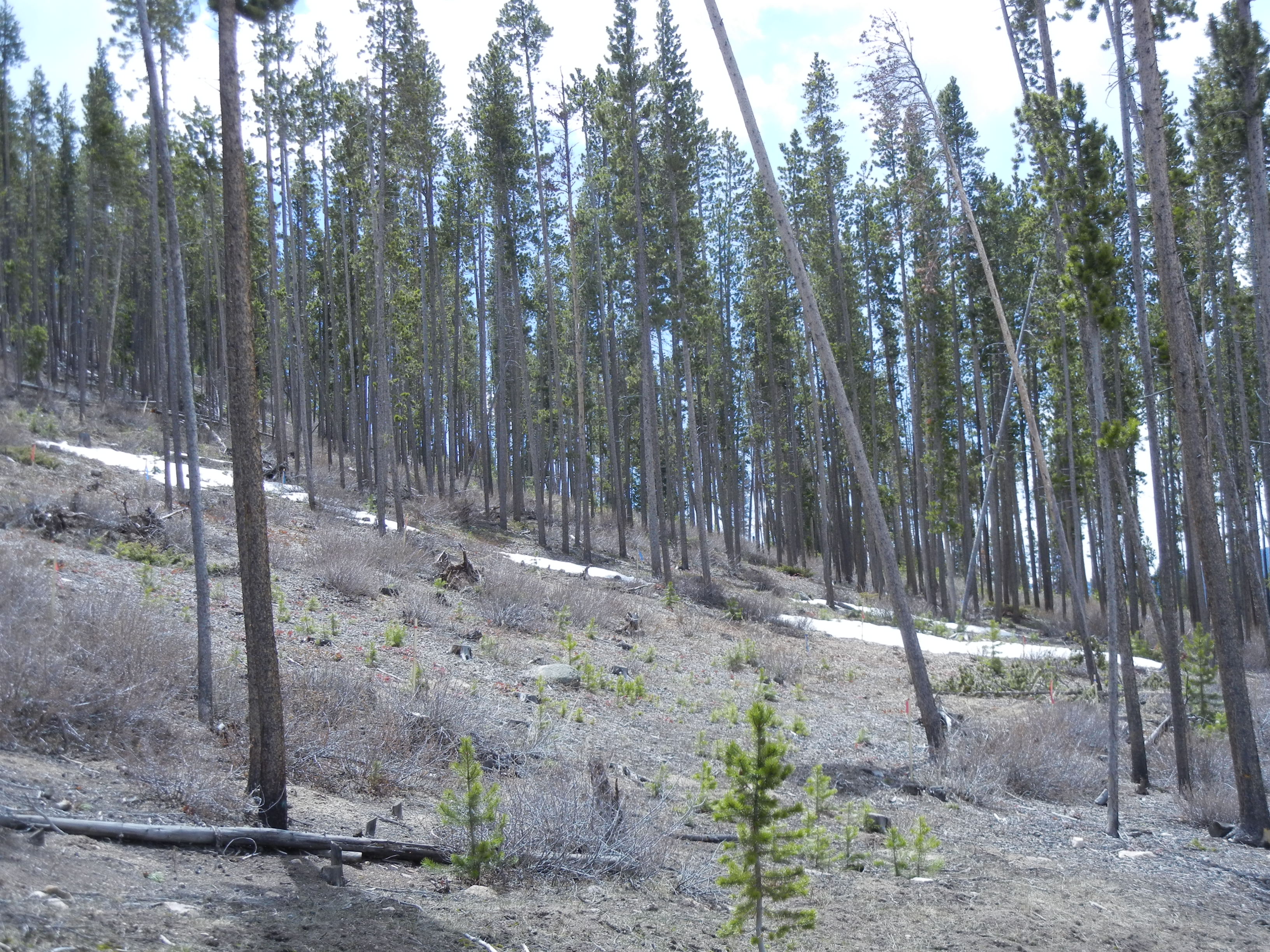 540 Highlands Drive, Breckenridge, CO 80424