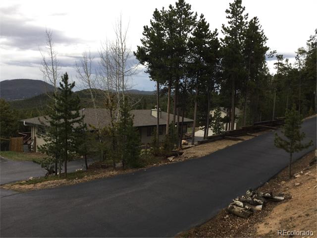 8700 S Warhawk Rd, Conifer, CO 80433