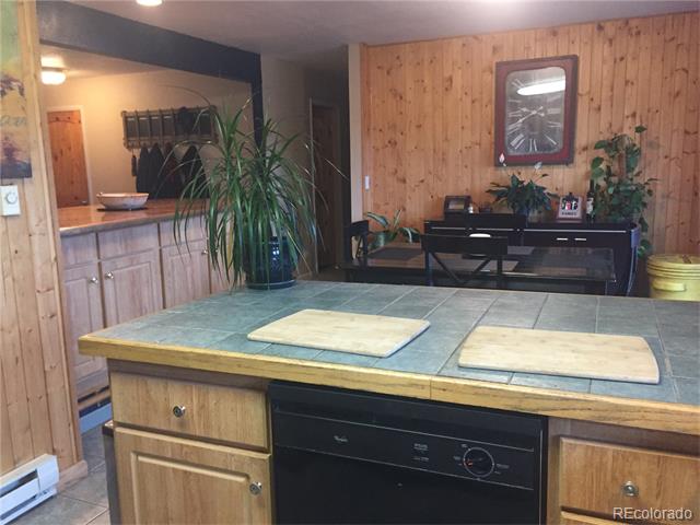 8700 S Warhawk Rd, Conifer, CO 80433