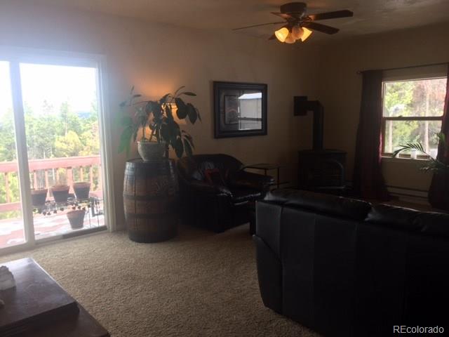 8700 S Warhawk Rd, Conifer, CO 80433