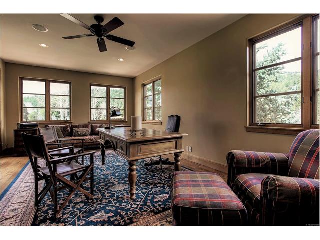 33114 Upper Bear Creek Road, Evergreen, CO 80439