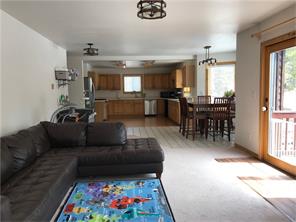 1860 Ridgeview Drive, Leadville, CO 80461