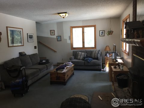 3613 Ridge Rd, Nederland, CO 80466