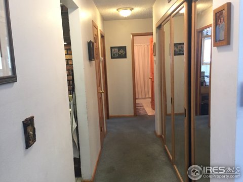 3613 Ridge Rd, Nederland, CO 80466