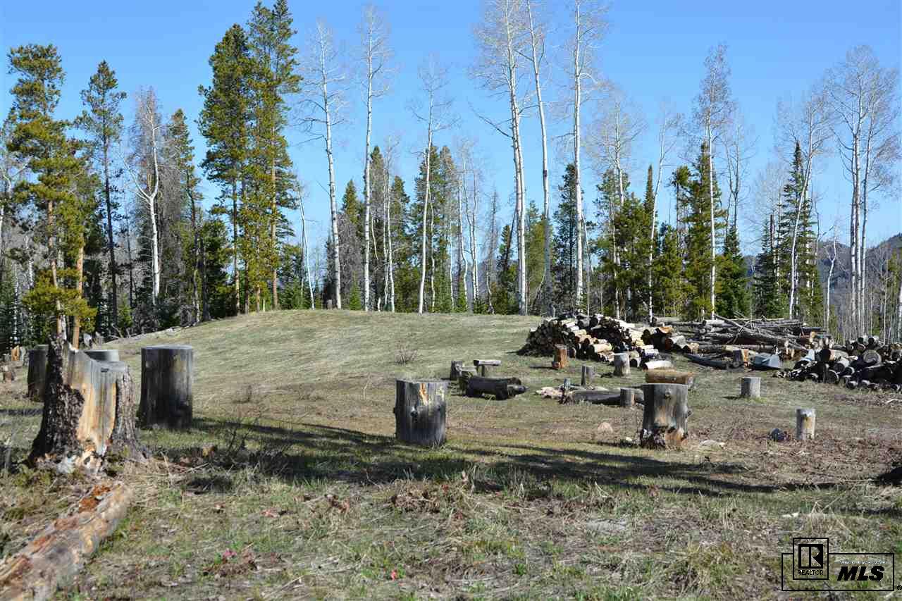 21525 Green Ridge Ct, Oak Creek, CO 80467