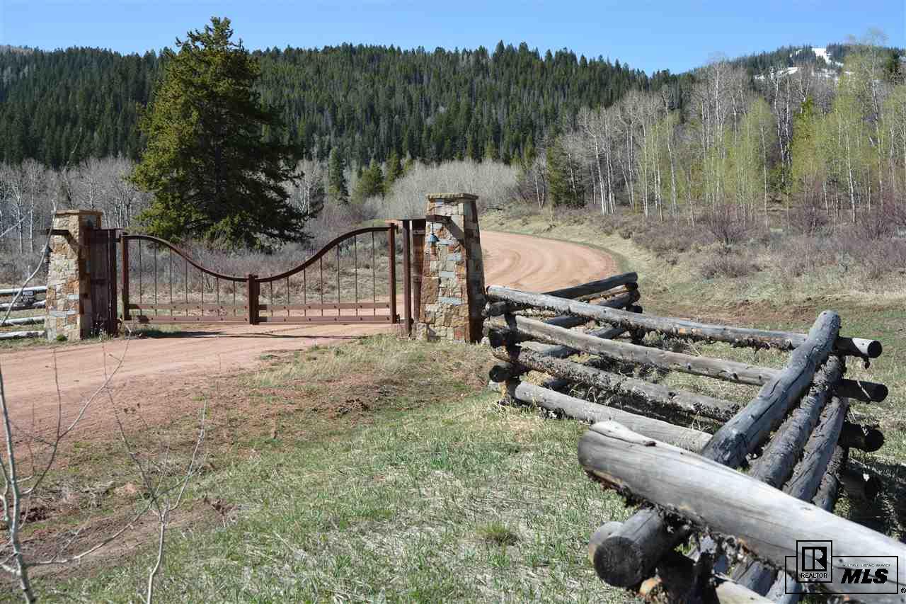 21525 Green Ridge Ct, Oak Creek, CO 80467
