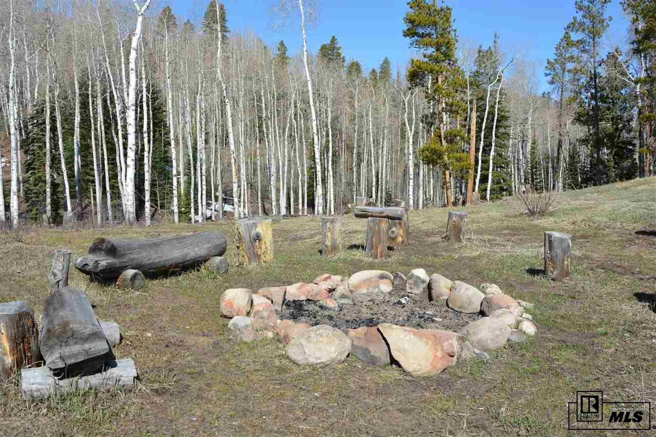 21525 Green Ridge Ct, Oak Creek, CO 80467