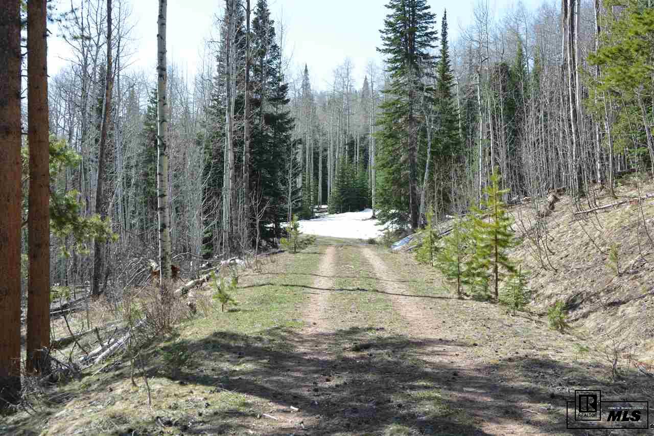 21525 Green Ridge Ct, Oak Creek, CO 80467
