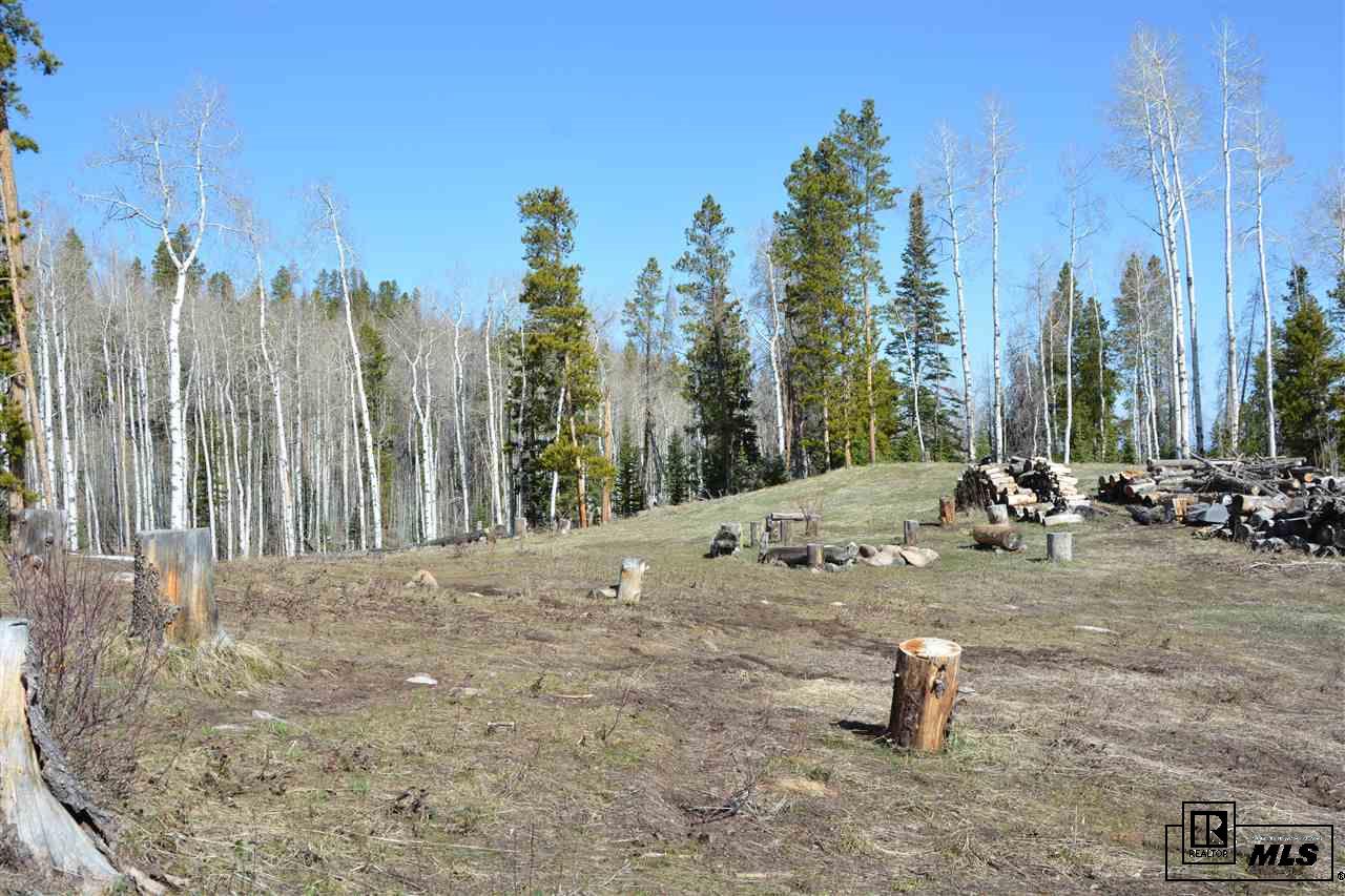 21525 Green Ridge Ct, Oak Creek, CO 80467