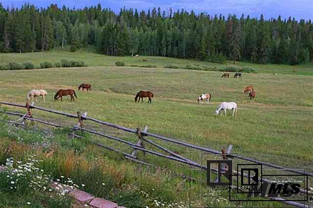 20505 County Road 16, Oak Creek, CO 80467