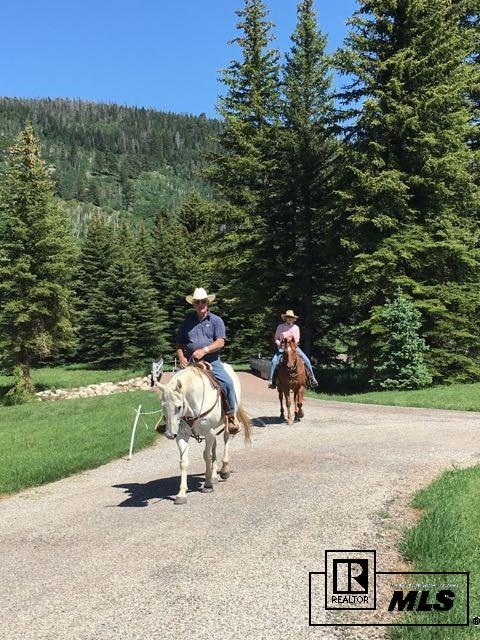 20505 County Road 16, Oak Creek, CO 80467
