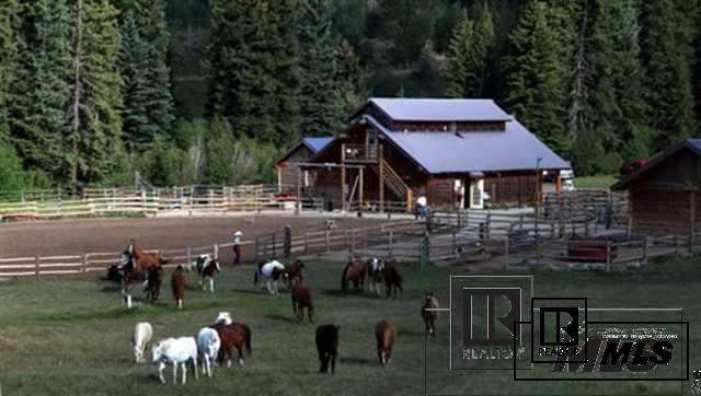 20505 County Road 16, Oak Creek, CO 80467